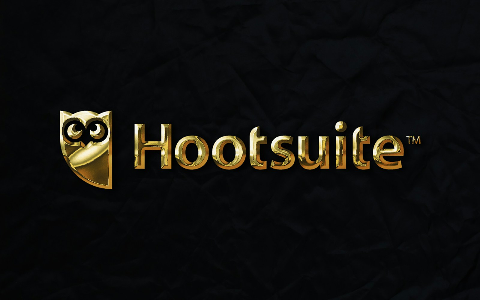 the logo for the game hootsuite